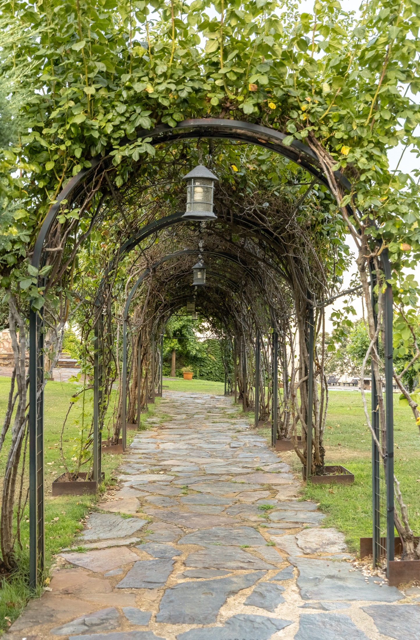 Paseo ajardinado con arcos
